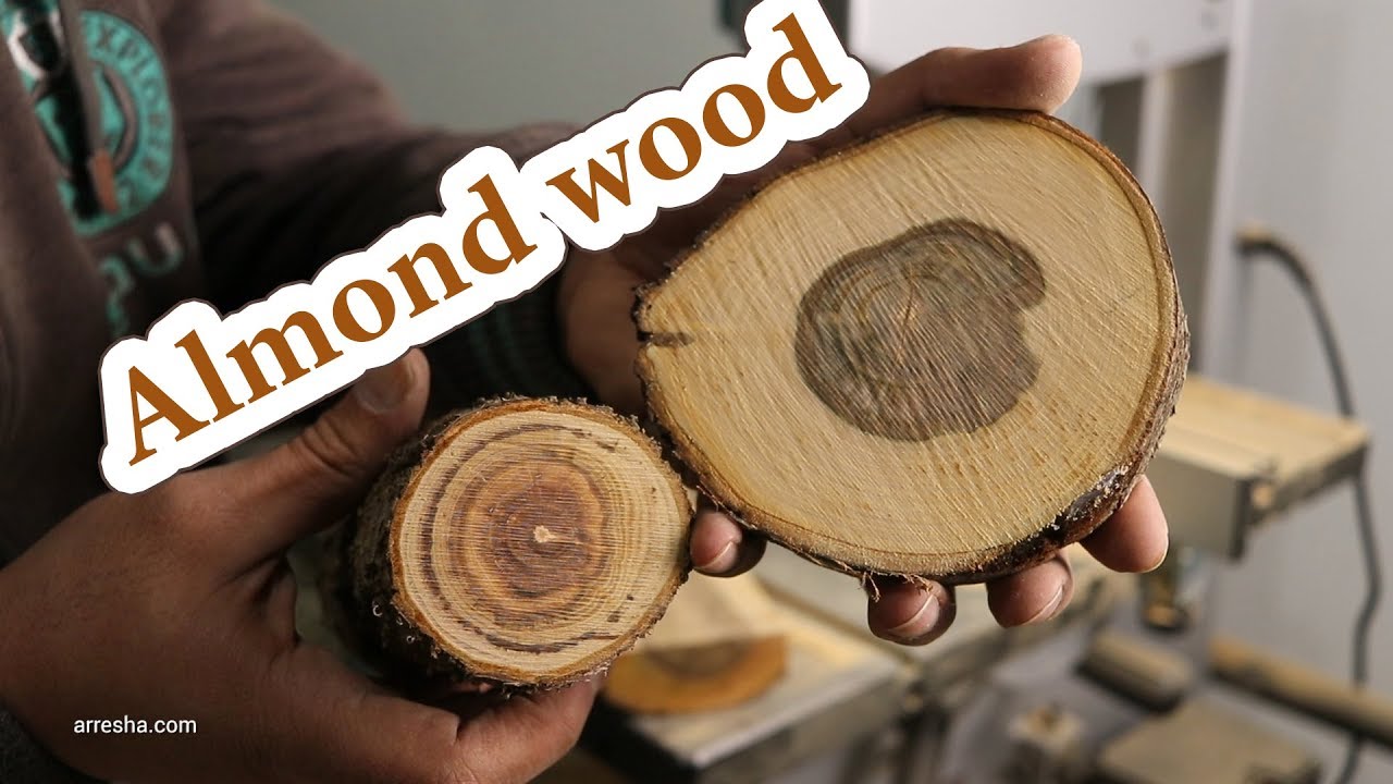 how Almond wood grain looks like? fresh green vs almost dry almond wood fibers