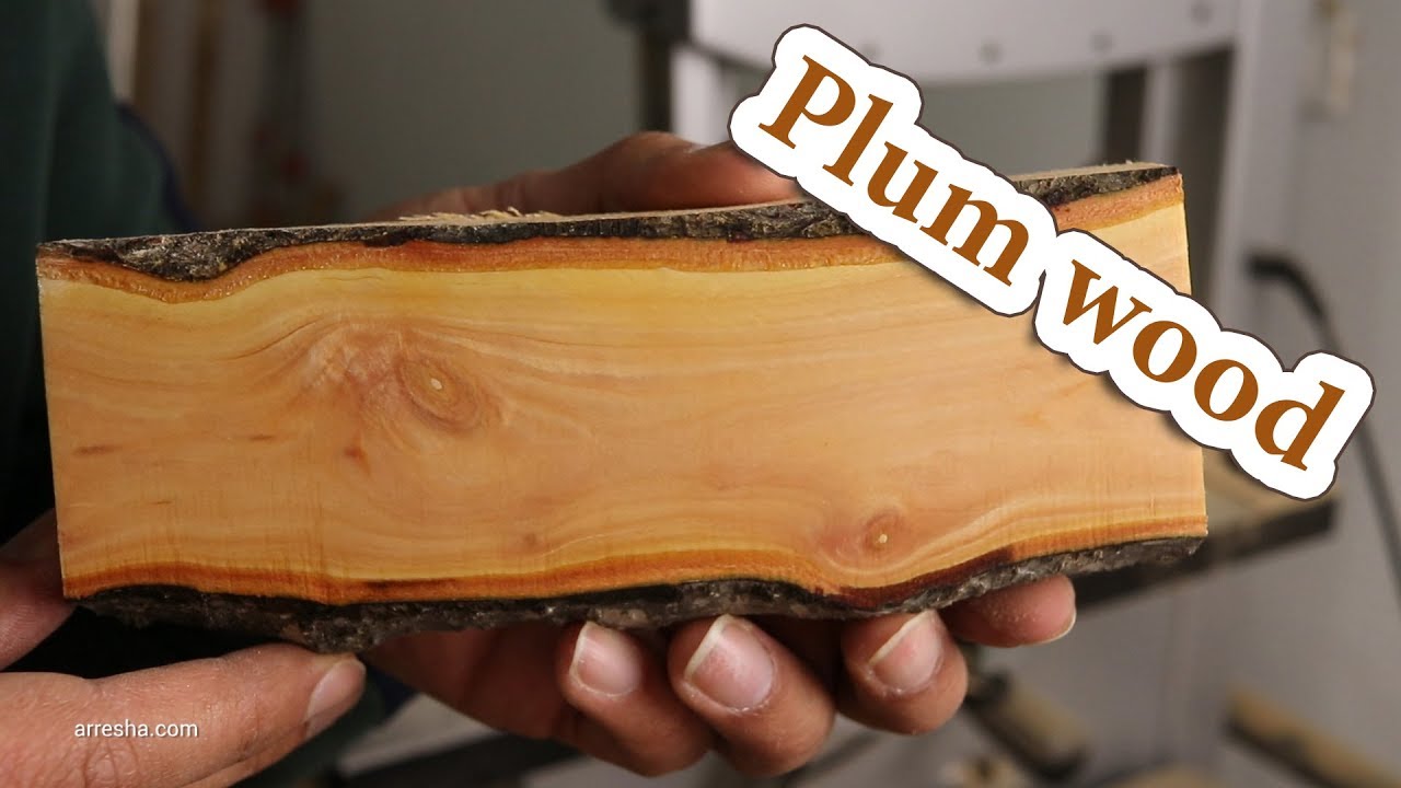 how plum wood grain looks like? green plum tree branch wood fibers